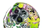 Casca-Icon-Airform-Hippy-Dippy---Vizera-Iridim-Mov