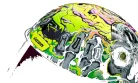 Casca-Icon-Airform-Hippy-Dippy---Vizera-Iridim-Mov