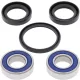 Kit rulmenti si garnituri roata All Balls Racing 25-1077