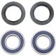 Kit rulmenti si garnituri roata All Balls Racing 25-1273