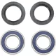 Kit rulmenti si garnituri roata All Balls Racing 25-1273