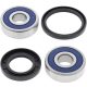 Kit rulmenti si garnituri roata All Balls Racing 25-1334