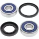Kit rulmenti si garnituri roata All Balls Racing 25-1334