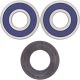 Kit rulmenti si garnituri roata All Balls Racing 25-1353
