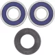 Kit rulmenti si garnituri roata All Balls Racing 25-1353
