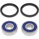 Kit rulmenti si garnituri roata All Balls Racing 25-1147