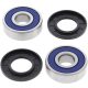 Kit rulmenti si garnituri roata All Balls Racing 25-1387