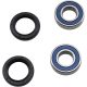 Kit rulmenti si garnituri roata All Balls Racing 25-1510