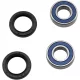 Kit rulmenti si garnituri roata All Balls Racing 25-1510