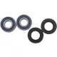 Kit rulmenti si garnituri roata All Balls Racing 25-1444-A