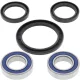 Kit rulmenti si garnituri roata All Balls Racing 25-1584