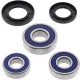 Kit rulmenti si garnituri roata All Balls Racing 25-1586
