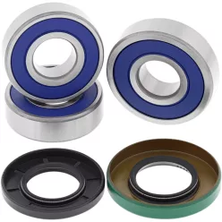 Kit Rulmenti roatai ALL BALLS 25-1264