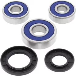 Kit Rulmenti roatai ALL BALLS 25-1546