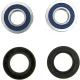 Kit rulmenti si garnituri roata All Balls Racing 25-1653
