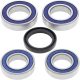 Kit rulmenti si garnituri roata All Balls Racing 25-1668