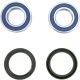 Kit rulmenti si garnituri roata All Balls Racing 25-1404-A