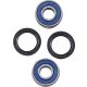 Kit rulmenti si garnituri roata All Balls Racing 25-1736