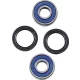 Kit rulmenti si garnituri roata All Balls Racing 25-1736