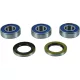 Kit rulment roată All Balls 25-1813-A