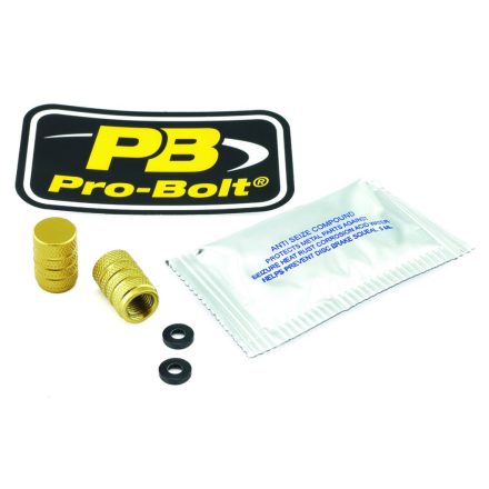 Pro Bolt Cap Valve Stem Gold