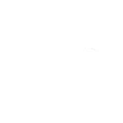 Simering furcă Athena 48X61X11 P40FORK455129