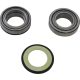 Kit-rulmenti-de-jug-All-Balls-Racing-22-1055