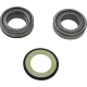 Kit-rulmenti-de-jug-All-Balls-Racing-22-1055
