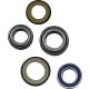 Kit-rulmenti-de-jug-All-Balls-Racing-22-1060