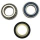 All Balls Bearing Kit Strng Stem 22-1080