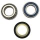 Bearing Kit Strng Stem