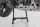 Cric lateral SW-Motech HPS.18.911.10000/B