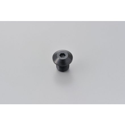 Daytona Mirror Plug Bolt Bk Left 99617