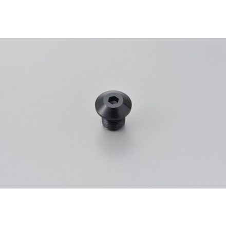 Mirror Plug Bolt Bk Right 99616