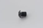 Mirror Plug Bolt Bk Right 99616