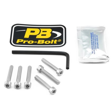 Pro Bolt Bolt Kit Fuel Cap Silver