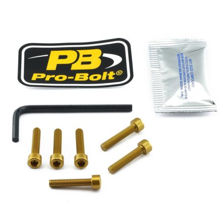 Pro Bolt Bolt Kit Fuel Cap Gold