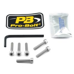 Pro Bolt Bolt Kit Fuel Cap Silver