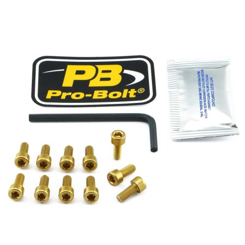 Pro Bolt Bolt Kit Fuel Cap Gold