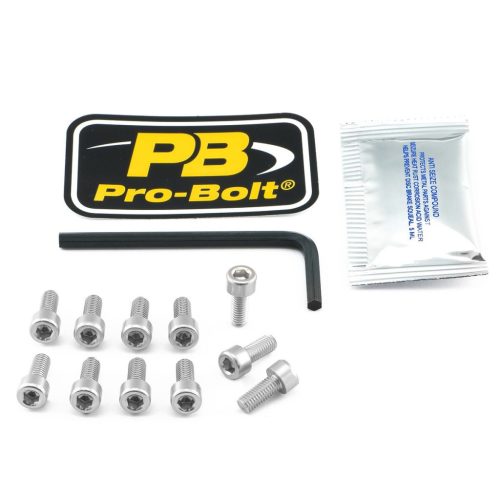 Pro Bolt Bolt Kit Fuel Cap Silver