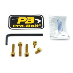 Pro Bolt Bolt Kit Fuel Cap Gold