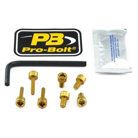 Pro Bolt Bolt Kit Fuel Cap Gold