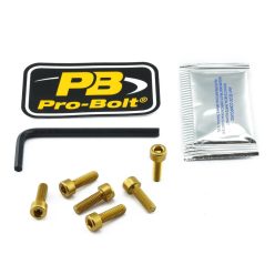 Pro Bolt Bolt Kit Fuel Cap Gold