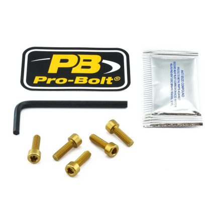 Pro Bolt Bolt Kit Fuel Cap Gold