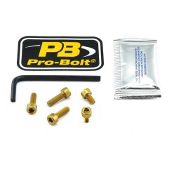 Pro Bolt Bolt Kit Fuel Cap Gold