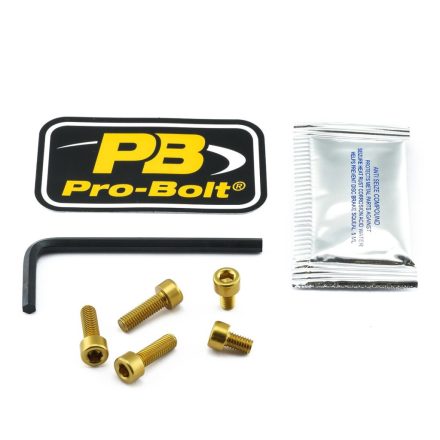 Pro Bolt Bolt Kit Fuel Cap Gold