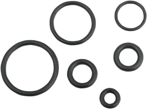 O-Ring Kit Efi Fuel Line