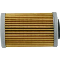 Filtru ulei Parts Unlimited 77038005000