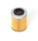 Filtru ulei Athena FFC040