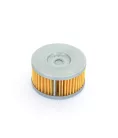 Filtru ulei Athena FFC042
